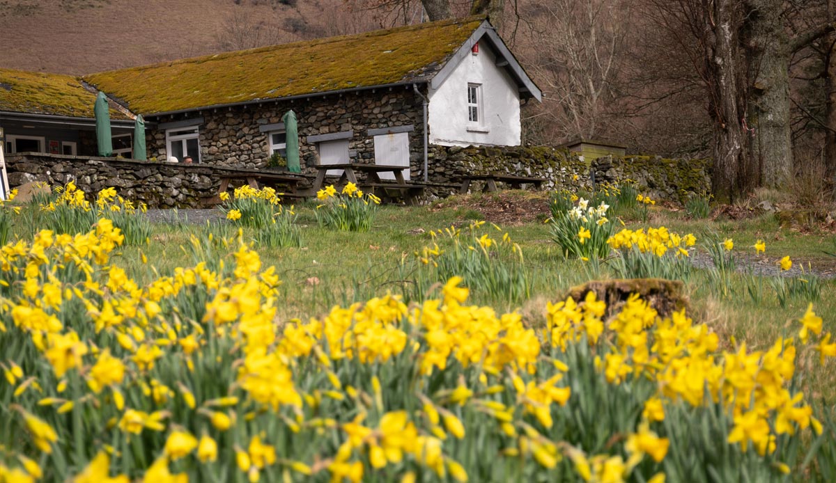 Gardens & Castles - Lake District