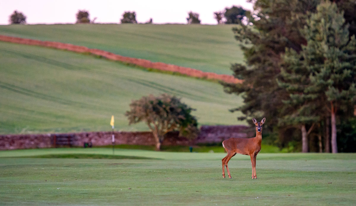 Penrith Golf Club Lake District Golf Tours & Packages